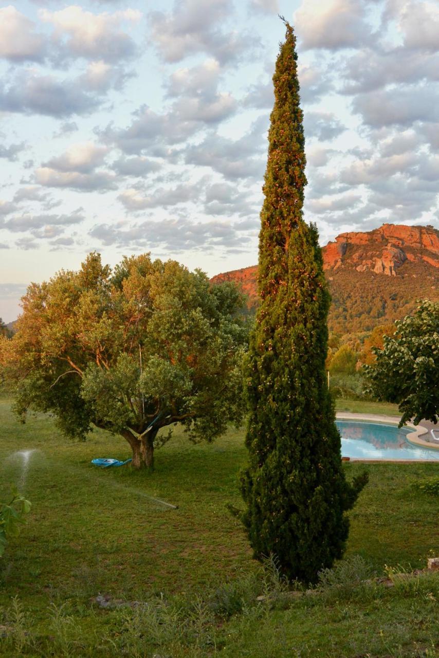 L'Albaida, Tranquility, Views Of Sea And Mountains Apartman Vilanova d’Escornalbou Kültér fotó