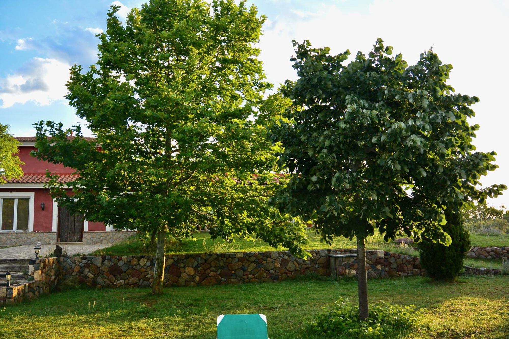 L'Albaida, Tranquility, Views Of Sea And Mountains Apartman Vilanova d’Escornalbou Szoba fotó