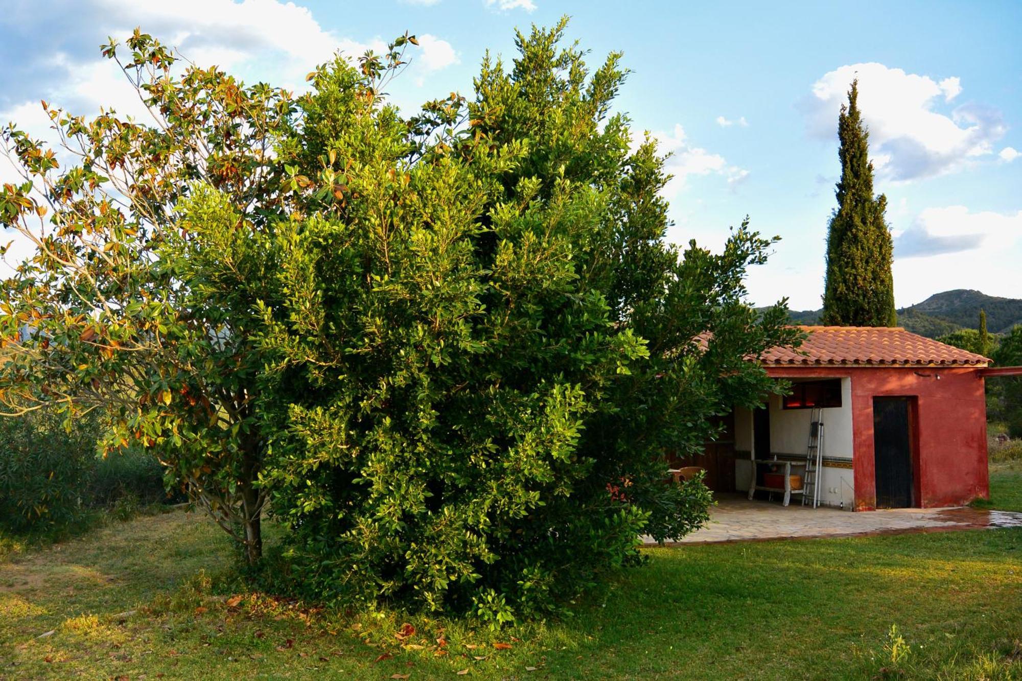 L'Albaida, Tranquility, Views Of Sea And Mountains Apartman Vilanova d’Escornalbou Szoba fotó