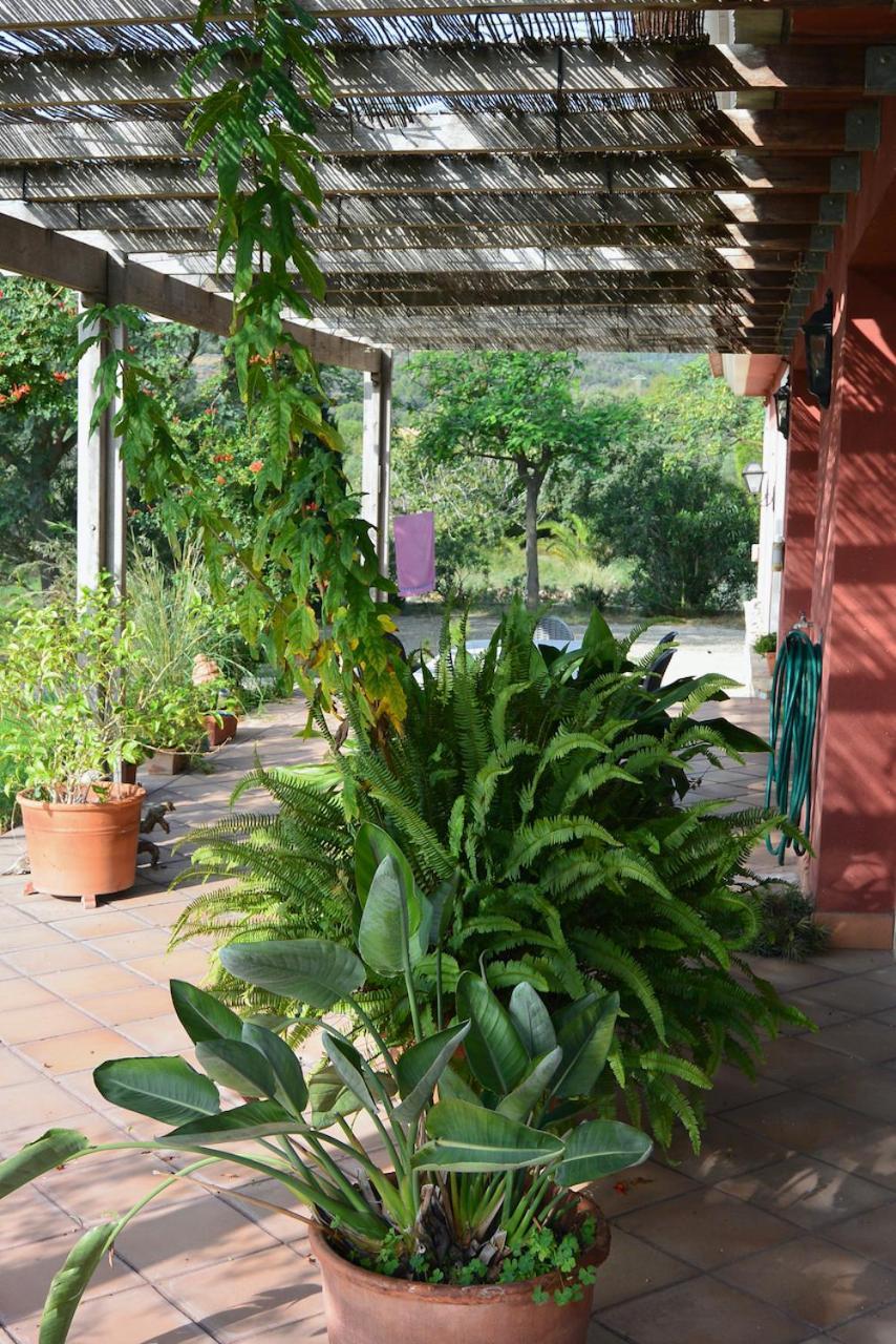 L'Albaida, Tranquility, Views Of Sea And Mountains Apartman Vilanova d’Escornalbou Kültér fotó